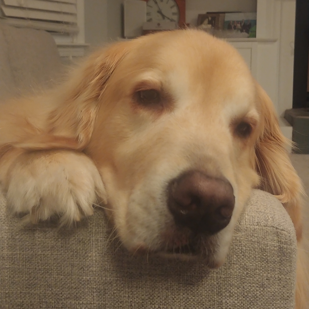 Meet your Posher, Mary